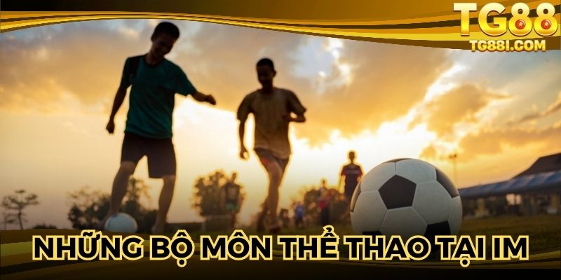 Những bộ môn thể thao được yêu thích khi tham gia IM