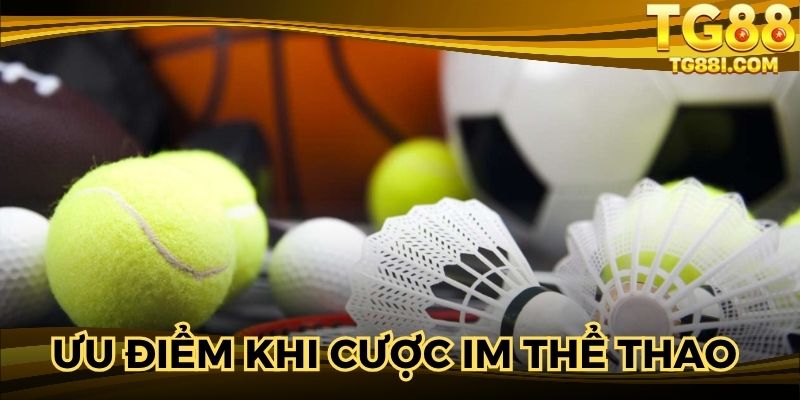 Đánh giá ưu điểm khi cược IM thể thao cho newbie